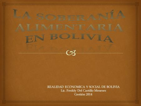 REALIDAD ECONOMICA Y SOCIAL DE BOLIVIA Lic. Freddy Del Castillo Meneses Gestión 2014.