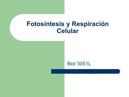 Fotosíntesis y Respiración Celular Biol 3051L. Fotosíntesis Fotosíntesis es un proceso donde la energía solar es convertida en energía química.