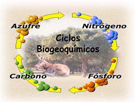 Ciclos Biogeoquímicos.