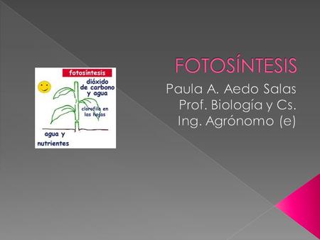 Paula A. Aedo Salas Prof. Biología y Cs. Ing. Agrónomo (e)