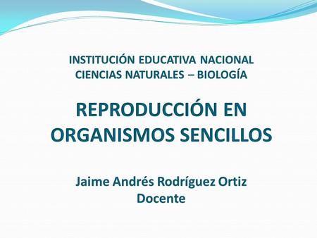 INSTITUCIÓN EDUCATIVA NACIONAL CIENCIAS NATURALES – BIOLOGÍA REPRODUCCIÓN EN ORGANISMOS SENCILLOS Jaime Andrés Rodríguez Ortiz Docente.