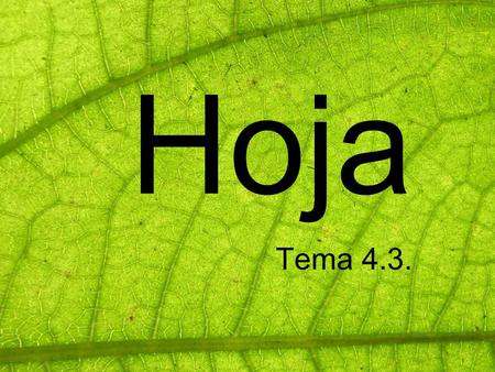 Hoja Tema 4.3..
