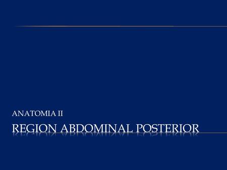 REGION ABDOMINAL POSTERIOR