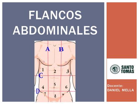 Flancos abdominales Docente: DANIEL MELLA.