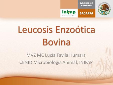 Leucosis Enzoótica Bovina