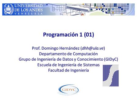 Programación 1 (01) Prof. Domingo Hernández Departamento de Computación Grupo de Ingeniería de Datos y Conocimiento (GIDyC) Escuela de Ingeniería.