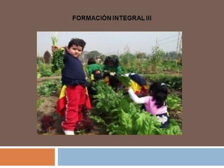 FORMACIÓN INTEGRAL III