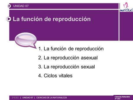 La función de reproducción