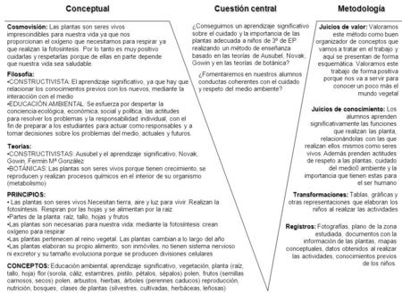 Conceptual Cuestión central Metodología