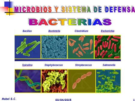 MICROBIOS Y SISTEMA DE DEFENSA