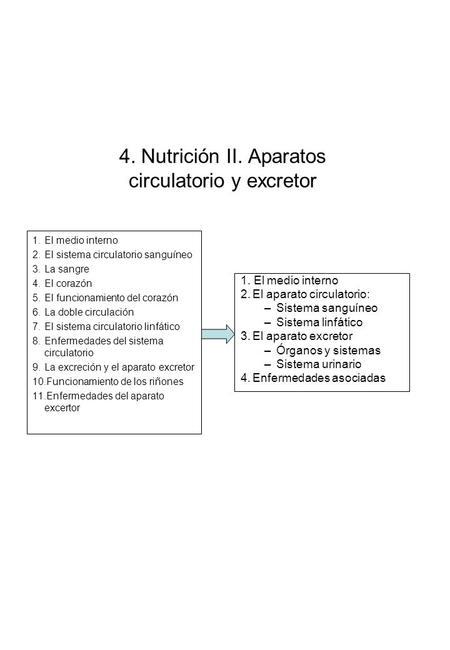 4. Nutrición II. Aparatos circulatorio y excretor