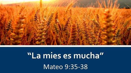 “La mies es mucha” Mateo 9:35-38.