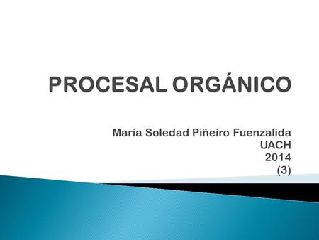María Soledad Piñeiro Fuenzalida UACH 2014 (3).  Excelentísima Corte Suprema  Ilustrísimas Cortes de Apelaciones (17)  Tribunales (magistrados, S.S)