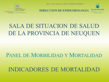 SALA DE SITUACION DE SALUD DE LA PROVINCIA DE NEUQUEN P ANEL DE M ORBILIDAD Y M ORTALIDAD INDICADORES DE MORTALIDAD DIRECCION DE EPIDEMIOLOGIA 2012 -