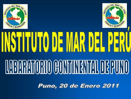 Actividades en Desarrollo 2010 (Convenio IMARPE-FONCHIP) A) Mejora del Rendimiento de la Pesca Artesanal B) Mejora de la Competitivid ad de la Mediana.