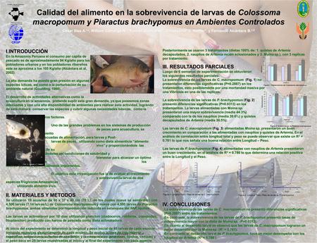 Calidad del alimento en la sobrevivencia de larvas de Colossoma macropomum y Piaractus brachypomus en Ambientes Controlados César Sias A.1,2, William Camargo.