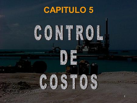 CAPITULO 5 CONTROL DE COSTOS.