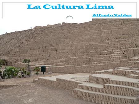 La Cultura Lima Alfredo Valdez