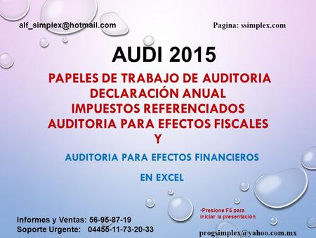 AUDITORIA PARA EFECTOS FINANCIEROS EN EXCEL