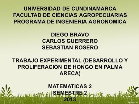 UNIVERSIDAD DE CUNDINAMARCA FACULTAD DE CIENCIAS AGROPECUARIAS PROGRAMA DE INGENIERIA AGRONOMICA DIEGO BRAVO CARLOS GUERRERO SEBASTIAN ROSERO TRABAJO EXPERIMENTAL.
