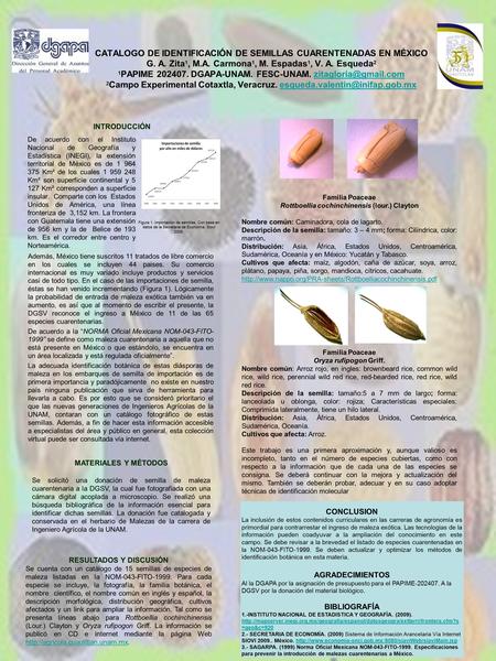 CATALOGO DE IDENTIFICACIÓN DE SEMILLAS CUARENTENADAS EN MÉXICO G. A. Zita 1, M.A. Carmona 1, M. Espadas 1, V. A. Esqueda 2 1 PAPIME 202407. DGAPA-UNAM.