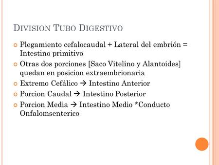 Division Tubo Digestivo