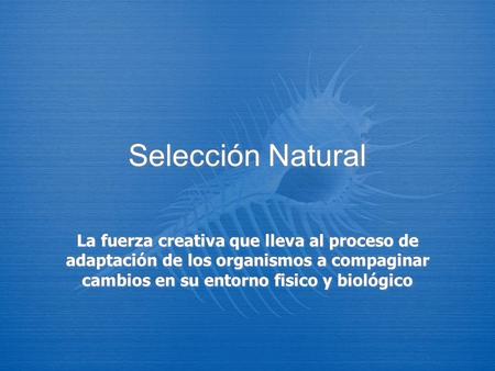 Selección Natural La fuerza creativa que lleva al proceso de adaptación de los organismos a compaginar cambios en su entorno fisico y biológico.