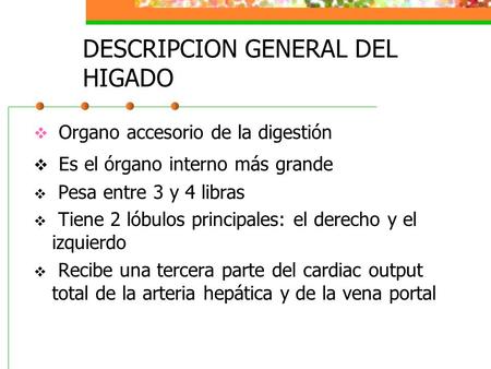 DESCRIPCION GENERAL DEL HIGADO
