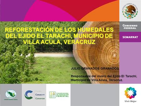 JULIO GRANADOS GRANADOS