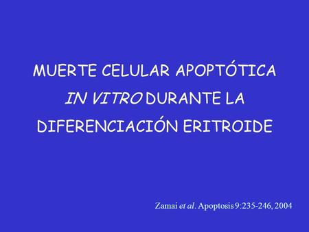 MUERTE CELULAR APOPTÓTICA IN VITRO DURANTE LA DIFERENCIACIÓN ERITROIDE