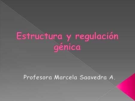 Estructura y regulación génica
