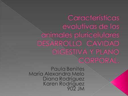 Características evolutivas de los animales pluricelulares DESARROLLO CAVIDAD DIGESTIVA Y PLANO CORPORAL. Paula Benites María Alexandra Melo Diana Rodríguez.