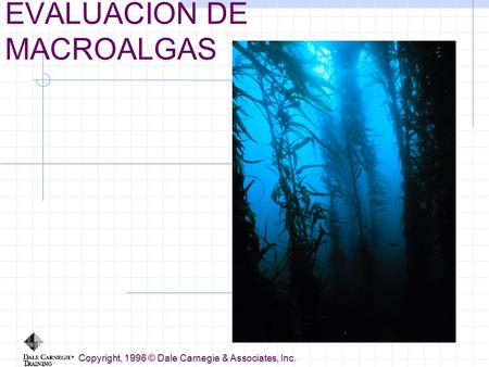 EVALUACION DE MACROALGAS Copyright, 1996 © Dale Carnegie & Associates, Inc.