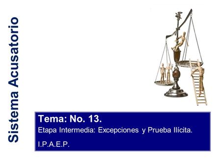 Sistema Acusatorio Tema: No. 13.