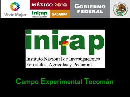 Campo Experimental Tecomán