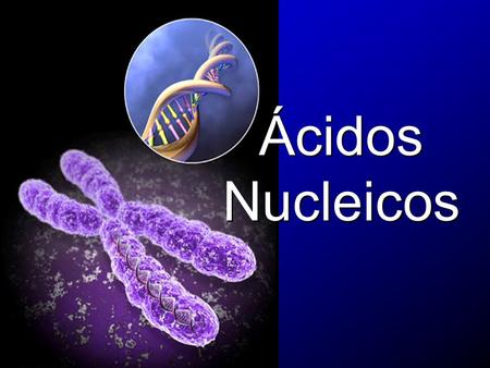 Ácidos Nucleicos. Cromosomas El CROMOSOMA es el material microscópico constituido del ADN y de proteínas especiales llamadas histonas que se encuentra.