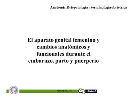 El aparato genital femenino y cambios anatómicos y funcionales durante el embarazo, parto y puerperio GenitFemObs.