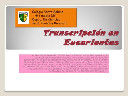 Transcripción en Eucariontes