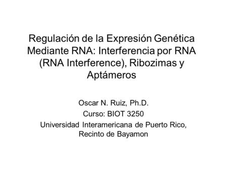 Universidad Interamericana de Puerto Rico, Recinto de Bayamon