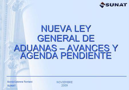 NUEVA LEY GENERAL DE ADUANAS – AVANCES Y AGENDA PENDIENTE