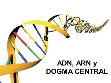 ADN, ARN y DOGMA CENTRAL.