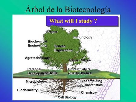 Árbol de la Biotecnología