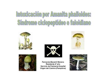 Intoxicación por Amanita phalloides: