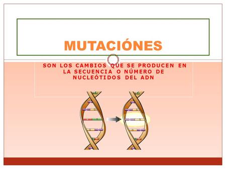 MUTACIÓNES Son los cambios que se producen en la secuencia o número de nucleótidos del ADN.