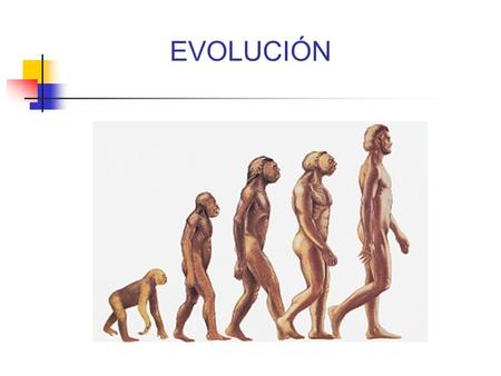 EVOLUCIÓN.