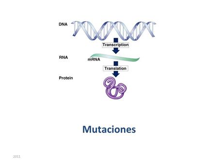 Mutaciones 2011.