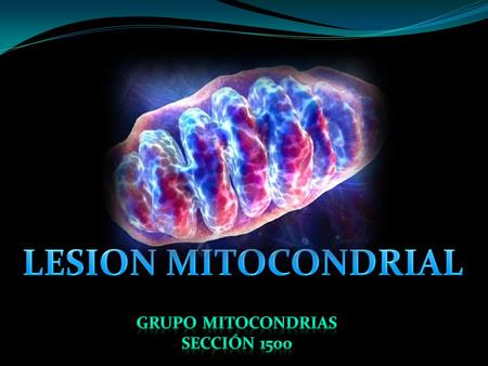 LESION MITOCONDRIAL Grupo Mitocondrias Sección 1500.