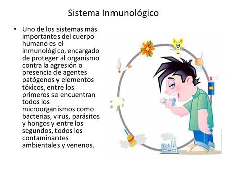 Sistema Inmunológico Uno de los sistemas más importantes del cuerpo humano es el inmunológico, encargado de proteger al organismo contra la agresión o.