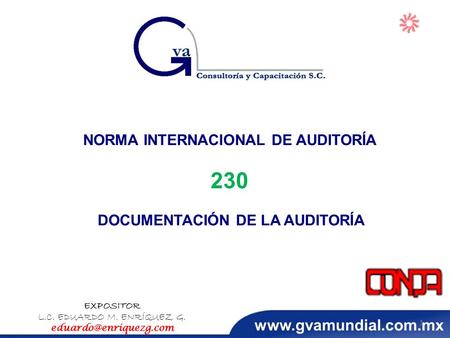NORMA INTERNACIONAL DE AUDITORÍA 230 DOCUMENTACIÓN DE LA AUDITORÍA