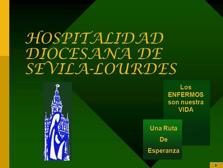 HOSPITALIDAD DIOCESANA DE SEVILA-LOURDES
